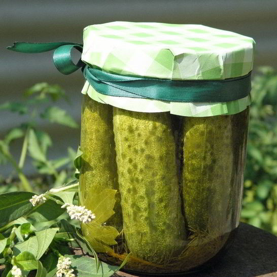 Рецепт малосольных огурчиков на зиму