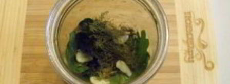 малосольные огурчики на зиму. Шаг 2