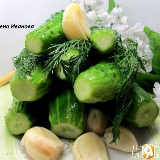Рецепт малосольных огурчиков в минеральной воде