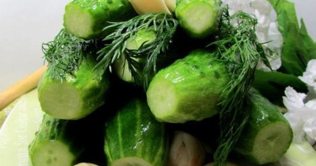 Малосольные огурцы в минеральной воде рецепт быстрого. Малосольные огурцы в минеральной воде рецепт быстрого. Малосольные огурцы в минеральной воде рецепт быстрого. Малосольные огурцы в минеральной воде рецепт быстрого. Малосольные огурцы в минеральной воде рецепт быстрого.