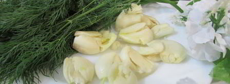 малосольные огурчики в минеральной воде. Шаг 2