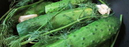 малосольные огурчики в минеральной воде. Шаг 3