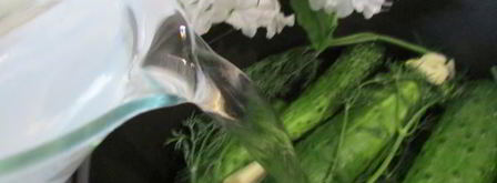 малосольные огурчики в минеральной воде. Шаг 5