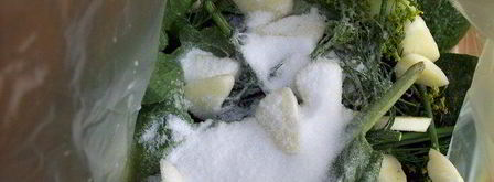 малосольные огурчики в пакете. Шаг 3