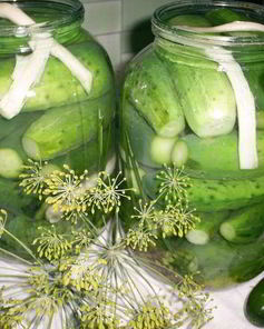 Малосольные огурчики