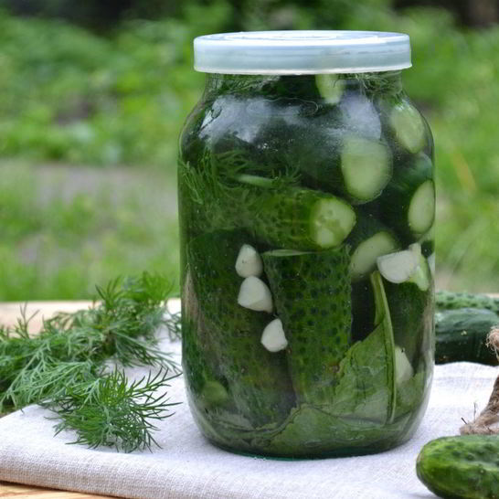 Рецепт малосольные огурцы без закатки