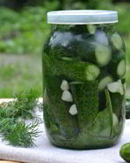 Малосольные огурцы без закатки