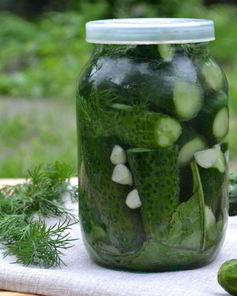 Малосольные огурцы без закатки