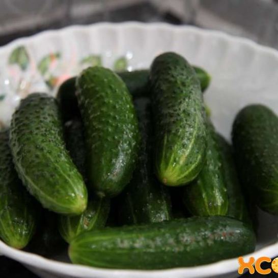 Рецепт малосольных огурцов на минеральной воде