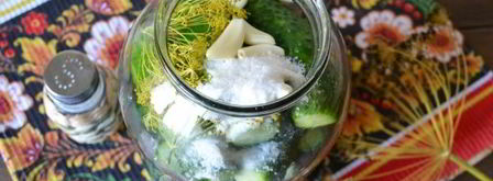 малосольные огурцы с чесноком и укропом. Шаг 9