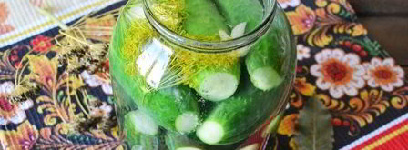 малосольные огурцы с чесноком и укропом. Шаг 10