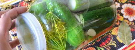 малосольные огурцы с чесноком и укропом. Шаг 12