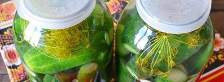 малосольные огурцы с чесноком и укропом. Шаг 14