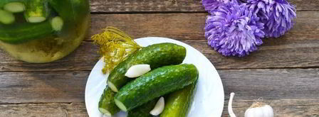 малосольные огурцы с чесноком и укропом. Шаг 15