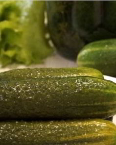 Малосольные огурцы в банке