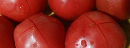 малосольные помидоры с зеленью. Шаг 5