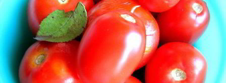 малосольные помидоры суточные. Шаг 4