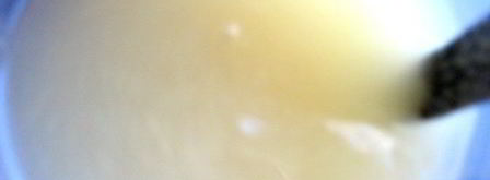 малосольные помидоры суточные. Шаг 9