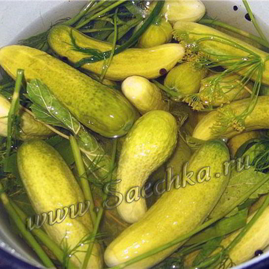 Рецепт огурцов малосольных
