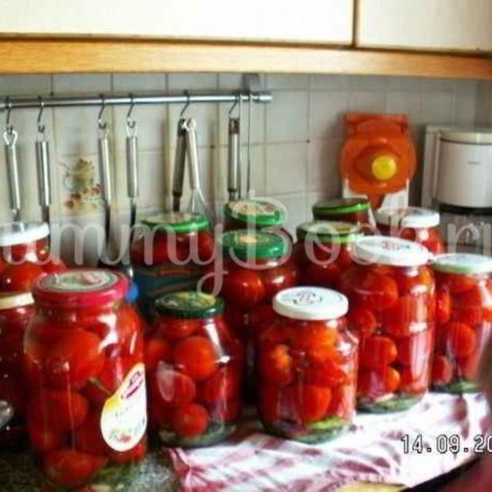 Рецепт помидоров консервированных