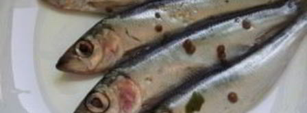 салака пряного посола. Шаг 4