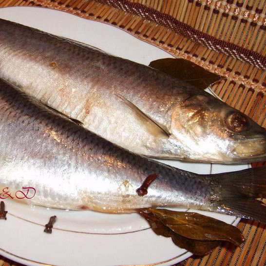 Рецепт сельди домашнего посола