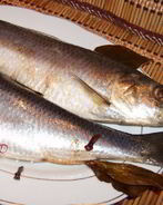 Сельдь домашнего посола