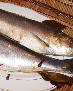 Сельдь домашнего посола