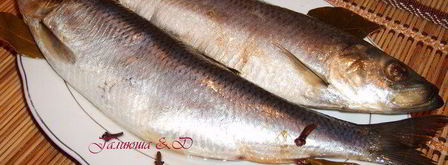 сельдь домашнего посола. Шаг 7