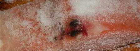 семга малосольная. Шаг 3