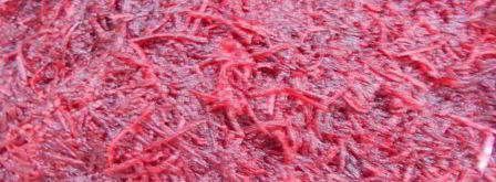 свекольный гравлакс — малосольный лосось. Шаг 4