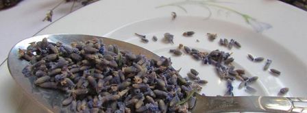 абрикосовый конфитюр с лавандой. Шаг 6