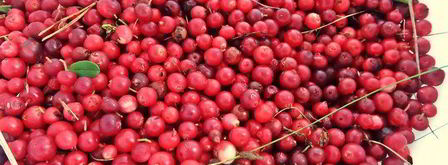 бруснично-яблочное варенье с морковью. Шаг 7