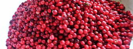 бруснично-яблочное варенье с морковью. Шаг 8