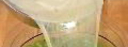 царское варенье из крыжовника. Шаг 4