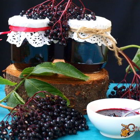 Рецепт варенья из черной бузины