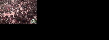 варенье из черноплодной рябины с яблоками. Шаг 2