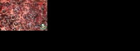 варенье из черноплодной рябины с яблоками. Шаг 6