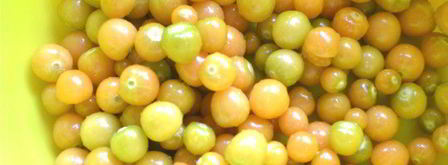 варенье из земляничного физалиса с корицей и лимоном. Шаг 2