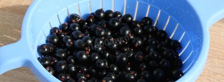 варенье желе из черной смородины на зиму. Шаг 2