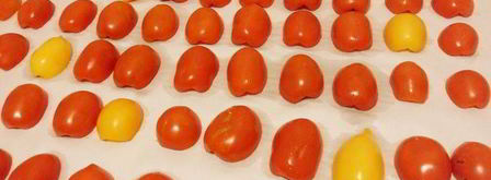 вяленые помидоры на зиму. Шаг 4