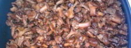 заготовка лисичек на зиму. Шаг 2