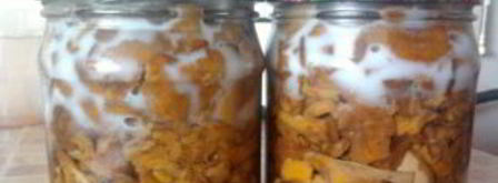 заготовка лисичек на зиму. Шаг 3