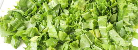 заморозка щавеля на зиму. Шаг 5