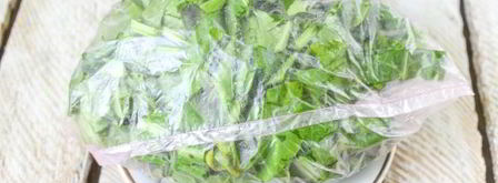 заморозка щавеля на зиму. Шаг 8