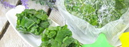 заморозка щавеля на зиму. Шаг 10