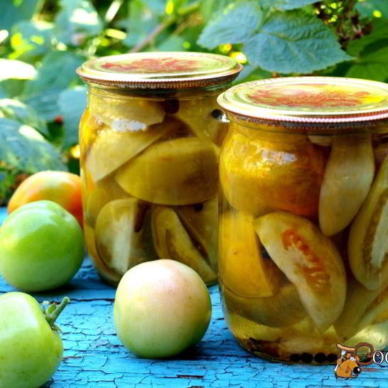 Рецепт зеленых помидоров на зиму