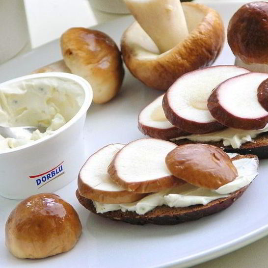 Рецепт бутерброда с белым грибом