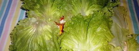 бутерброды футбольный мяч. Шаг 4