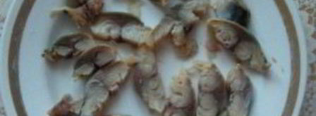 бутерброды с селедкой. Шаг 5